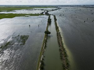 1.070 Hektare Sawah di Pati-Kudus Gagal Panen akibat Banjir