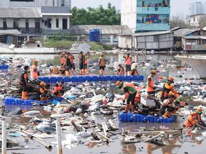 DLH Angkut 137 Ton Sampah dari Pesisir Tanggul Laut Muara Baru Jakut