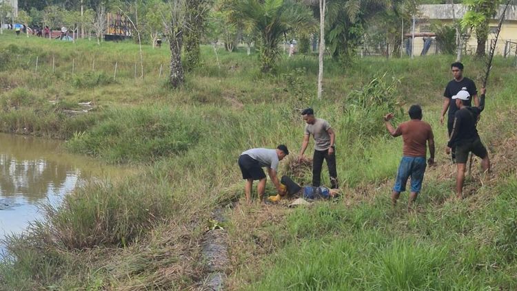 Polisi Tarakan Selamatkan Wanita dari Terkaman Buaya Raksasa 3 Meter
