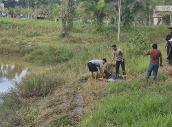 Emak-emak di Tarakan Diterkam Buaya 3 Meter, Selamat Usai Ditolong Polisi