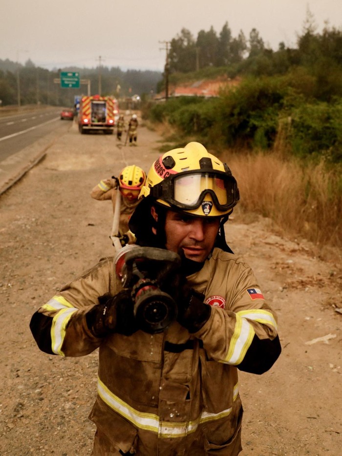Kebakaran Hutan Besar Melanda Concepcion, Chile