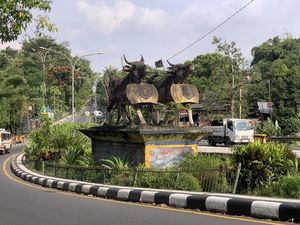 Kondisi Memprihatinkan 2 Patung Karapan Sapi di Lombok Barat