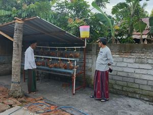 Pemkab Lombok Tengah Mulai Salurkan Ayam Petelur untuk Tangani Stunting