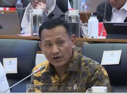 Wamenhut Ungkap Potensi Karhutla Imbas Siklus El Nino di RI pada 2027