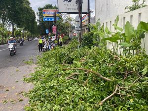 Dua Motor-Satu Mobil Tertimpa Dahan Pohon gegara Angin Kencang di Kuta