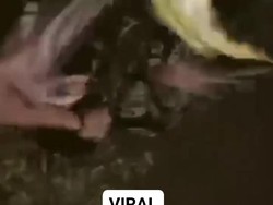 2 Gladiator Siswa SMP Vs SMA di Cianjur Viral, Satu Orang Patah Tulang