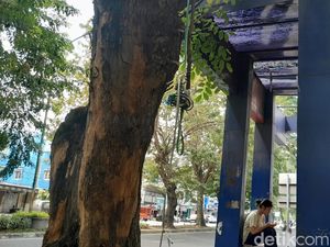 Atap Halte di Jalan Gatot Subroto Bolong, Warga Ngeluh Tak Bisa Berteduh