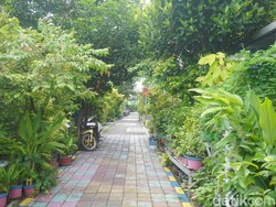 Kampung Lawas Maspati Jadi Oase di Tengah Kota Surabaya