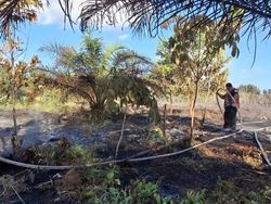 Siaga Darurat Karhutla di Kotim Dihentikan, Mau Kalkulasi Ulang