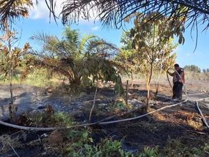 Siaga Darurat Karhutla di Kotim Dihentikan, Mau Kalkulasi Ulang