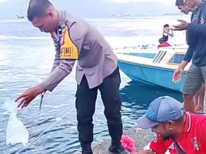 Viral Polisi di Ternate Buang Kantong Plastik Saat Musnahkan Miras ke Laut