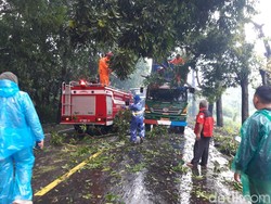 Hujan Angin Landa Boyolali, Pohon Tumbang Tutup Jalan hingga Timpa Truk