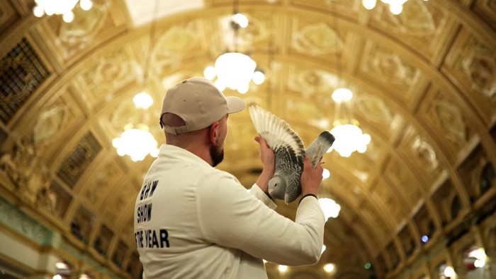 Ribuan Merpati Pos Unjuk Gigi di British Homing World Show di Blackpool