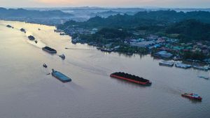 Aktivitas Tongkang Batu Bara di Sungai Mahakam