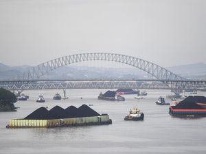 Aktivitas STS Batu Bara Ancam Jalur Migrasi Pesut Mahakam