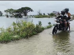 Sempat Surut 2 Hari, Banjir Bengawan Jero Lamongan Kembali Meninggi