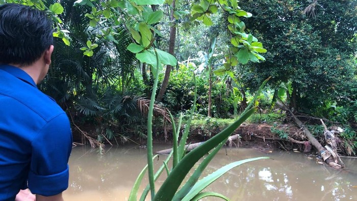 Viral Buaya di Sekitar SMAN 5 Depok, Damkar Cek Lokasi