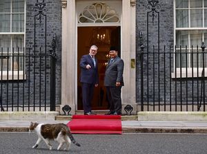 Saat Larry the Cat Sambut Prabowo di Downing Street London