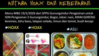 Viral Menu MBG Dinilai Tak Layak Isi Buah Kecapi-Tomat Busuk, BGN Buka Suara
