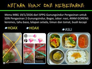 Viral Menu MBG Isi Buah Kecapi-Tomat Busuk, BGN Ungkap Faktanya