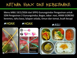 Viral Menu MBG Dinilai Tak Layak Isi Buah Kecapi-Tomat Busuk, BGN Buka Suara