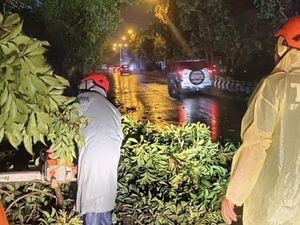 Cuaca Ekstrem Terjang Denpasar, Anak Luka dan Puluhan Rumah Rusak