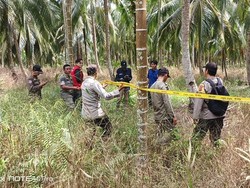 Terungkap! Ini Motif Keponakan Bunuh Kakek di Tanjabtim Jambi