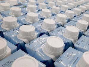 Video Kepala BGN Sebut Enggak Wajib Ada Susu di Menu MBG, Kecuali...