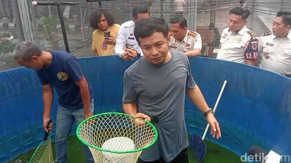 Usaha Keras Zul Zivilia Lawan Candu Narkoba di Penjara