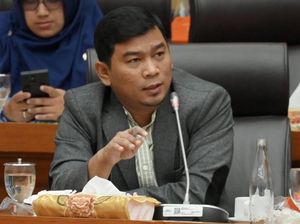 DPR RI Sentil Tambang Emas Ilegal Jambi, Desak KemenESDM Turun Tangan