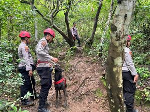Polisi Kerahkan Anjing Pelacak Cari Korban Pesawat ATR 42-500 di Bulusaraung