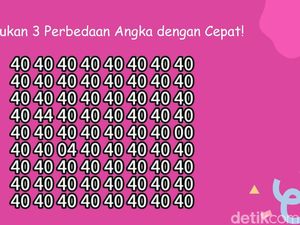 Sekilas Sama Persis! Temukan Objek yang Berbeda di Gambar Ini