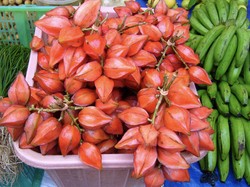 Jarang Disorot, 6 Buah Khas Hutan Indonesia Ini Bikin Penasaran