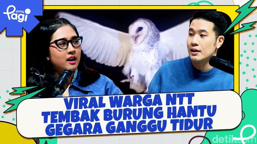 Video: Viral Warga NTT Tembak Burung Hantu Gegara Ganggu Tidur
