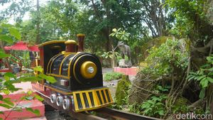 Wahana Kereta Hutan di Kebun Binatang Surabaya
