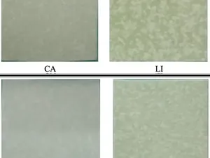 Kertas Berminyak Jadi Kemasan Ramah Lingkungan, Ini Inovasi BRIN