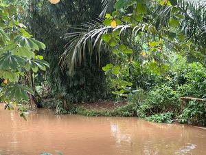 Kemunculan Lisa yang Meresahkan di Belakang SMAN 5 Depok