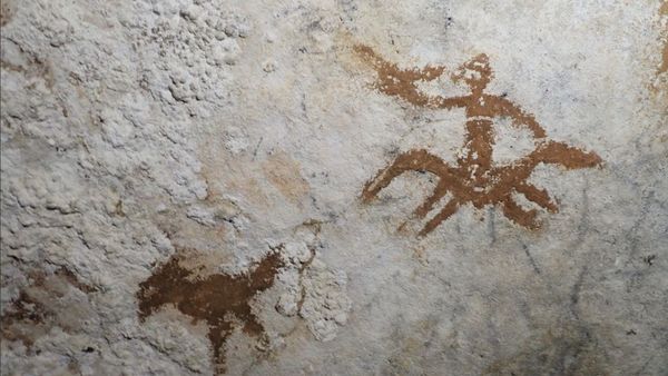 Potret Seni Cadas Tertua Sejagat di Leang Metanduno, Pulau Muna