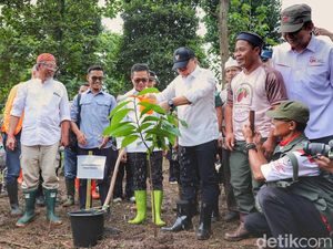 Tanam Kakao di Bandung, Zulhas Targetkan Indonesia Swasembada Cokelat