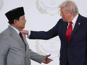 RI Gabung Dewan Perdamaian Bentukan Trump, Apa yang Diketahui Sejauh Ini?