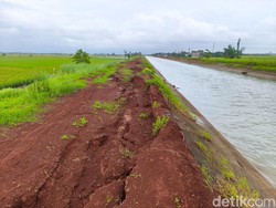 Waduh, Tanggul Sungai Karanganyar Demak Ambles