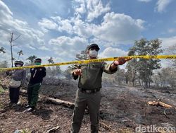 Polisi Segel Lokasi Karhutla di Kubu Raya, Penyelidikan Dimulai