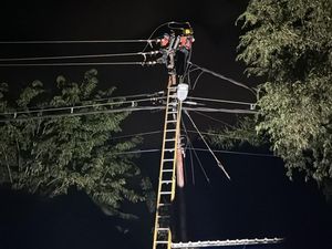 Cuaca Ekstrem Rusak 6 Jaringan Listrik Flores Timur, PLN Kerahkan 30 Petugas