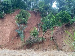 Longsor di Talun Pekalongan, 2 Rumah Rusak-17 Orang Mengungsi