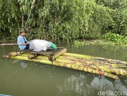 Cerita Warga Pati Andalkan Rakit gegara Banjir 2 Pekan Tak Kunjung Surut