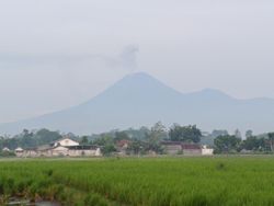 Gunung Semeru Erupsi 3 Kali, Kolom Abu Capai 1.000 Meter