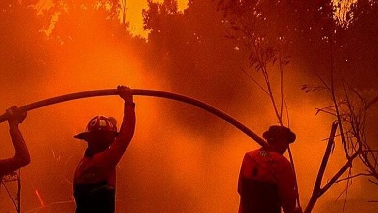 7 Daerah Rawan Karhutla Sumsel Belum Naikkan Status Siaga