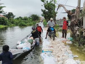 Aksi Para Pemuda Bangun Jalan Setapak Darurat di Tengah Banjir Lamongan