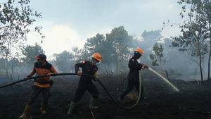 Tim Gabungan Padamkan Karhutla Dekat Bandara Supadio, Puluhan Titik Api Masih Diatasi