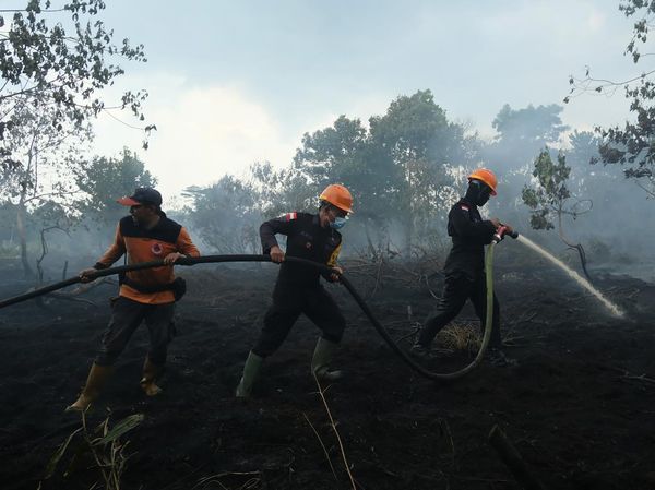 Tim Gabungan Padamkan Karhutla Dekat Bandara Supadio, Puluhan Titik Api Masih Diatasi